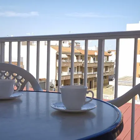  Felek Torrevieja